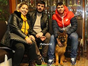 Bakırcı Ailesi'nin Petworld Alman Kurdu Dora eğitimde