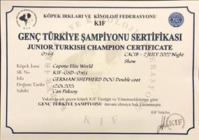  Genç Türkiye Şampiyonu Capone Elit World 