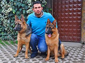 Rize'nin en güzel Alman Çoban Köpekleri Hasan Sak 'da