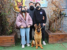 Nüket hanım ve ailesi eğitimli Alman Kurdu köpeği Enzo