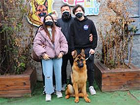 Nüket hanım ve ailesi eğitimli Alman Kurdu köpeği Enzo