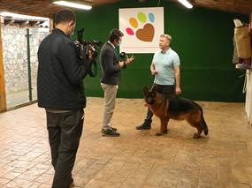 Sokak köpekleri neden saldırır