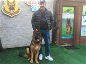 Şeref Bey'in Petworld Alman Kurdu eğitimini tamamladı