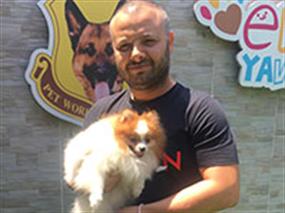 Pomeranian Cadı temel itaat eğitimini başarıyla tamamladı