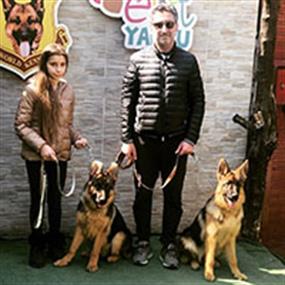 Dünyanın en önemli derecelerine sahip olan Alman Çoban köpeklerinin yavrularını Cem bey ailelerine dahil etti