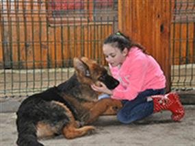 Küçük İrem yeni Alman Kurdu yavrularını çok sevdi