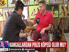 Petworld Çiftliğimiz Star Tv Anahaber'e konuk oldu