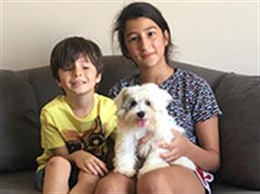 Coton de Tulear Cherry, eğitimini başarıyla tamamladı