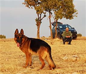 Hayat kimya orta doğu sorumlusu olan Hamit bey Teo'ya kavuştu