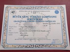 Grand Büyük Genç Türkiye Şampiyonu Hegen Elite World