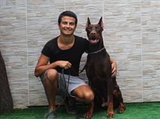 Mert Bey, full eğitimli Doberman dostumuz Mars'a kavuştu