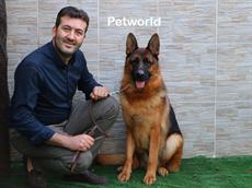 Ömer Bey, Alman Kurdu Nesc von Petworld'e sahip oldu