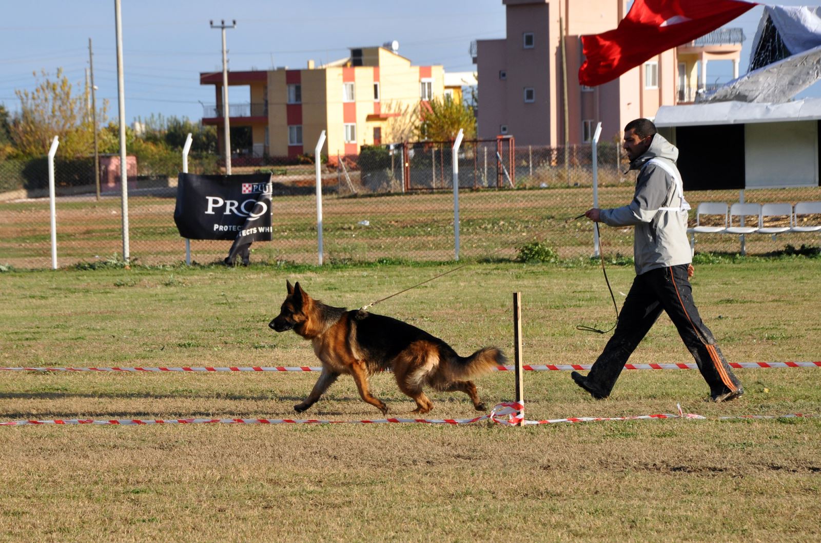 Alman Kurdu 2011 Türkiye Şampiyonası