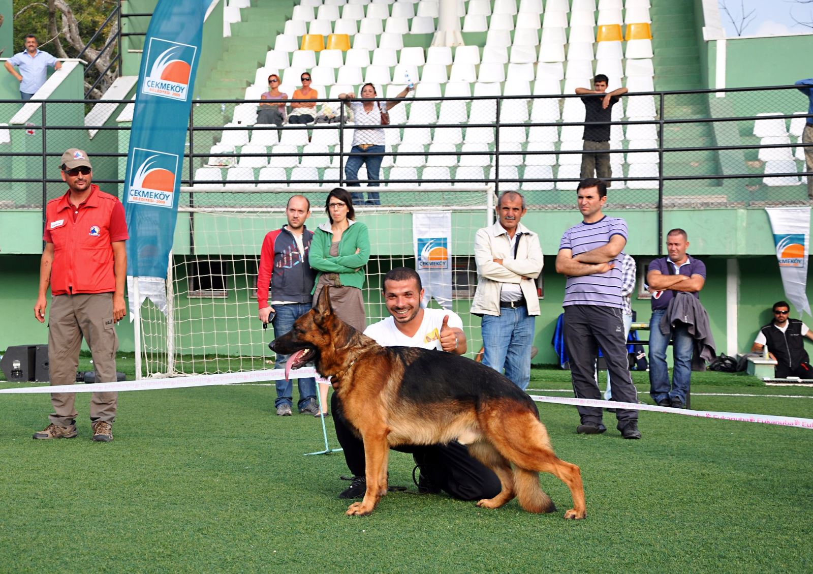 köpeklere yarışmalara hazırlık eğitimi